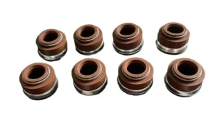 Сальники клапанів 240-1007020 (комплект) МТЗ (коричневі)