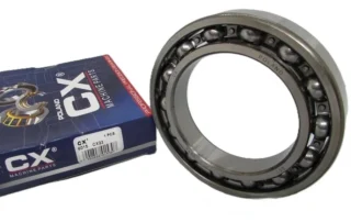 Підшипник 115 (6015) Польща (CX)